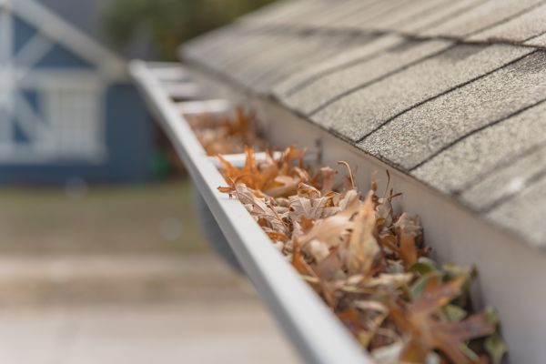 Leaf Barrier Installation in Southfield